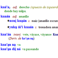 Image of sample formatted dictionary entries using FieldWorks.